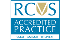 logo rcvs accredited practice
