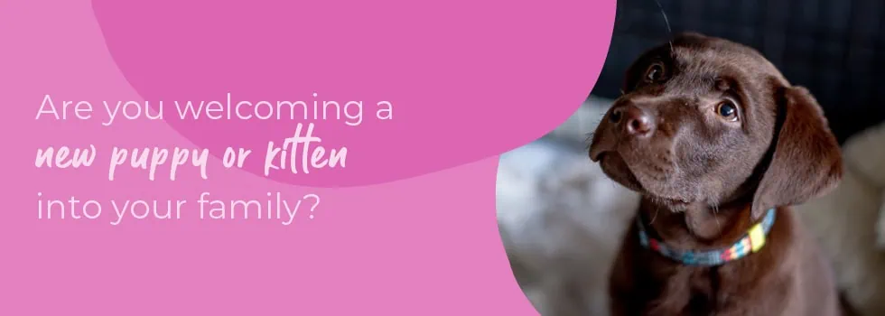 Start of Life for Your Puppy or Kitten