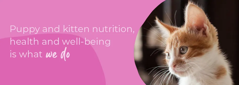 Start of Life for Your Puppy or Kitten