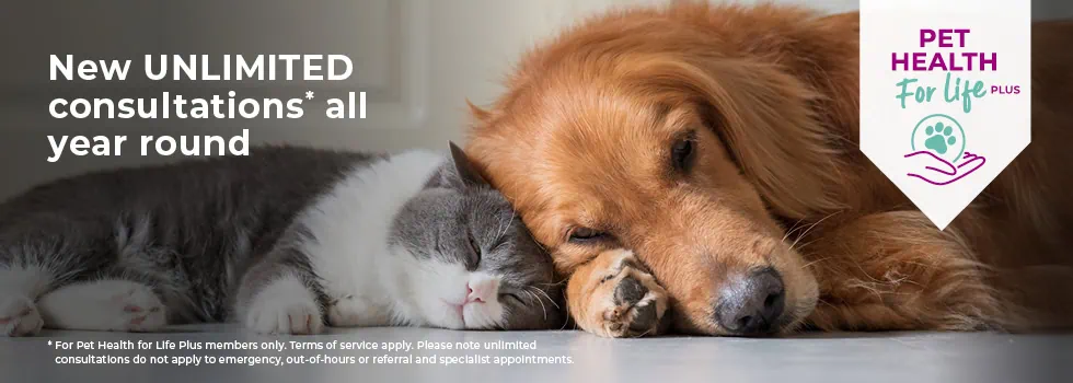Pet Health for Life Plans | Cats & Dogs | Peak Vets