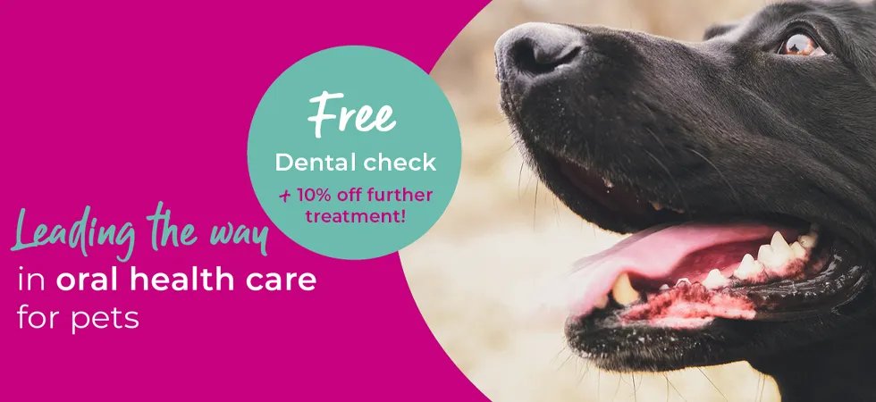 Vets in Sheffield | Vets Near Me | Peak Vets