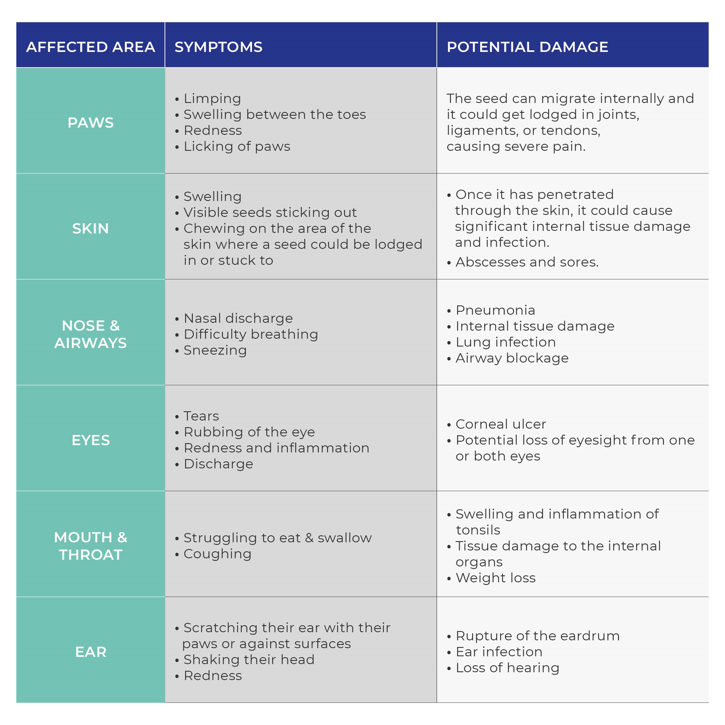 Grass seed symptoms and potential damage infographic