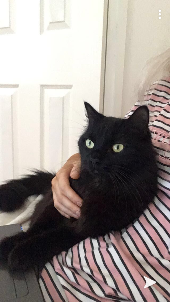 Bubble toruble - cuddling owner