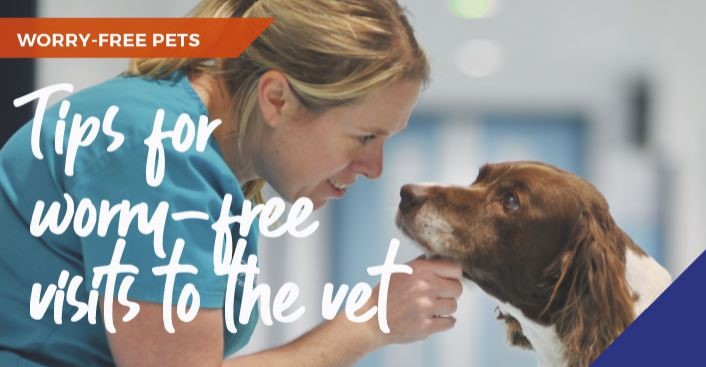 Tips for worry free visits to the vet banner