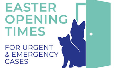 Easter Opening Hours 2020