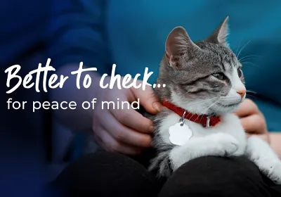 Better to check...