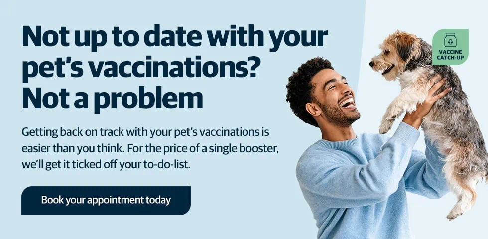 Vets in Sheffield | Vets Near Me | Peak Vets