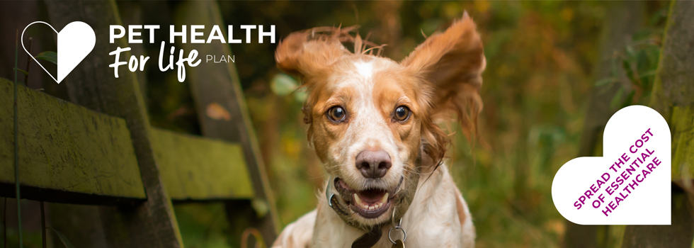 Dog Health for Life Plan | Pet Plan | Peak Vets