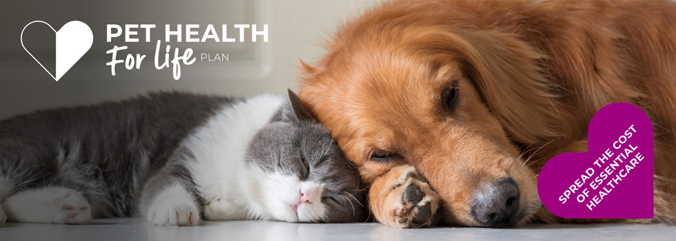 Pet Health for Life Plans | Cats & Dogs | Peak Vets