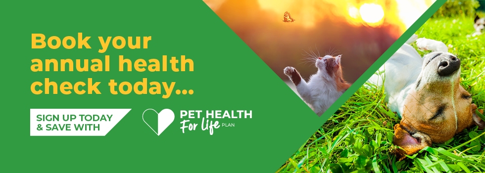 Annual Health Checks | Pet Health | Peak Vets
