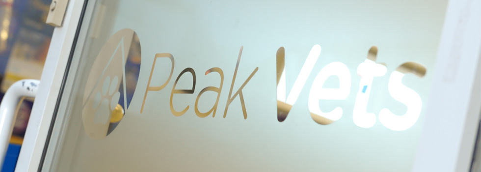 Peak Vets aims to provide a high-quality service, at reasonable prices. 