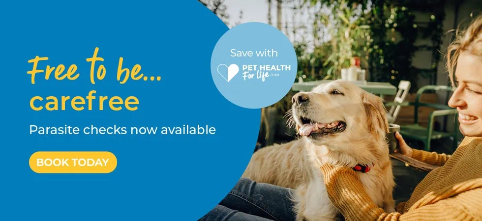 Vets in Sheffield | Vets Near Me | Peak Vets