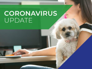 Coronavirus Update banner - white puppy