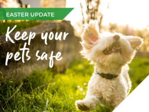 Keep your pets safe this easter banner