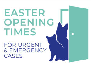 Easter opening hours - urgent and emergency cases banner