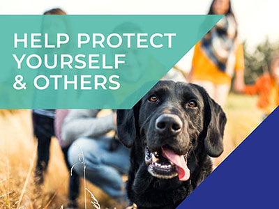 Peak Vets COVID-19 Update