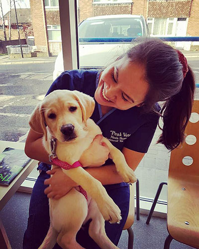 Nicole Shorto – C-SQP – Registered Veterinary Nurse