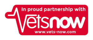Vets now logo