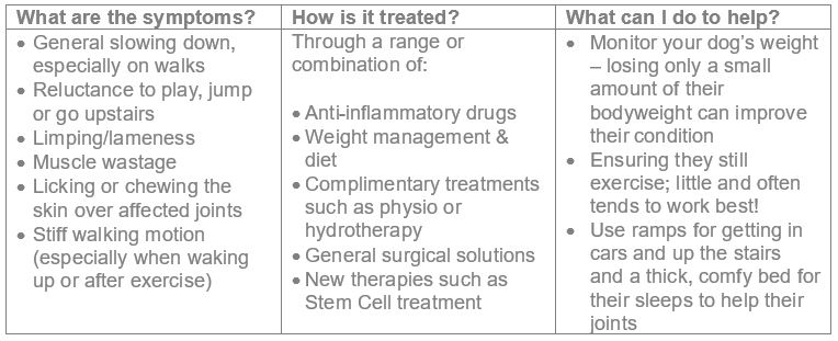 Arthritis in dogs symptoms infographic
