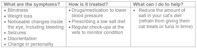 high blood pressure symptoms infographic
