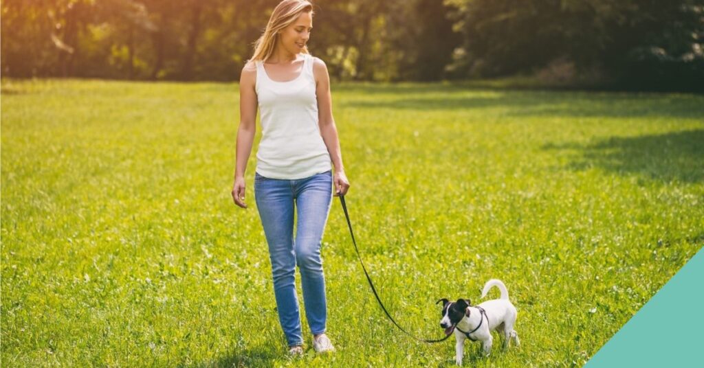 Teach your dog to walk on a lead - lady walking white and black dog in field on lead