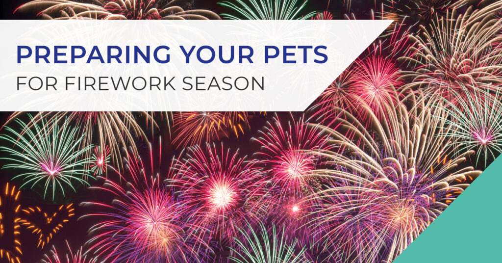 Preparing your pets for fireworks season banner