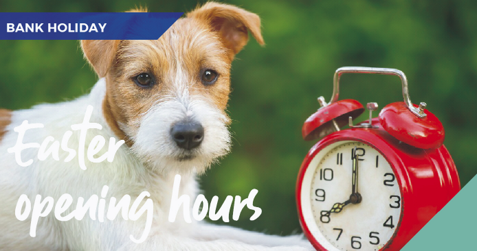 Easter open hours bank holiday banner - white dog with red clock
