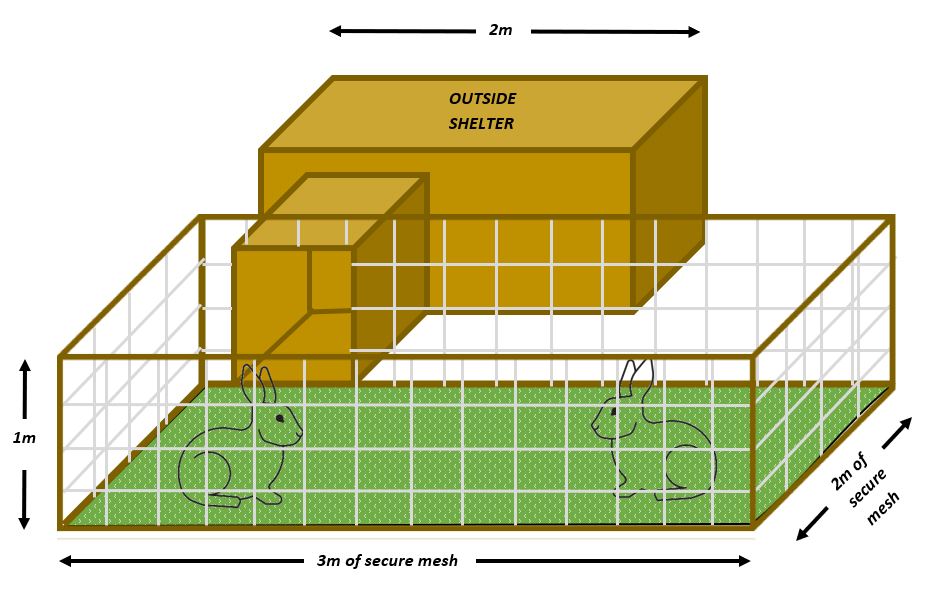 Rabbit space requirements - outside shelter