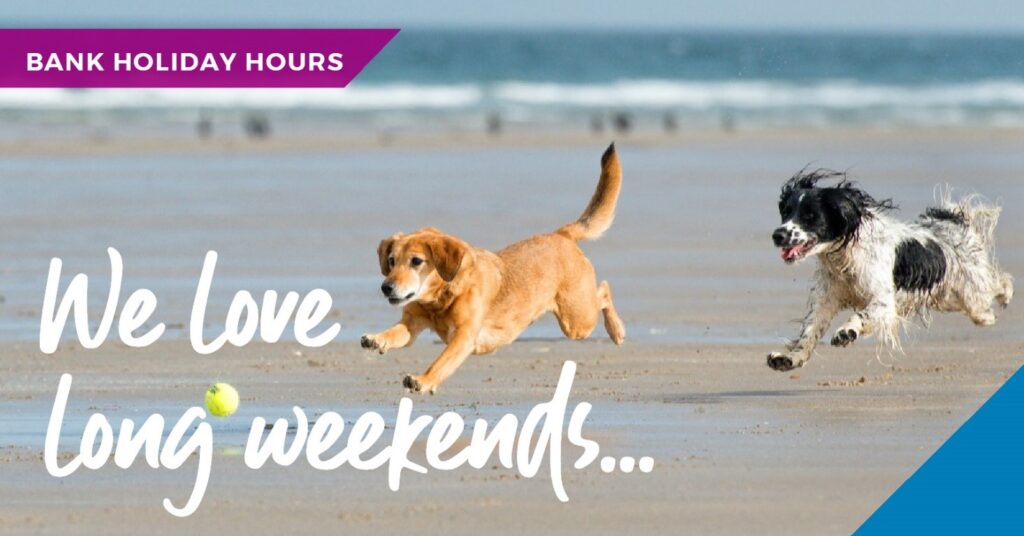 Bank holiday hours banner - dogs on beach