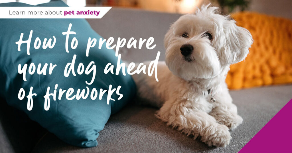 How to prepare your dog ahead of fireworks banner