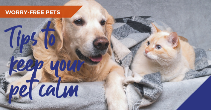 Tips to keep your pet calm banner