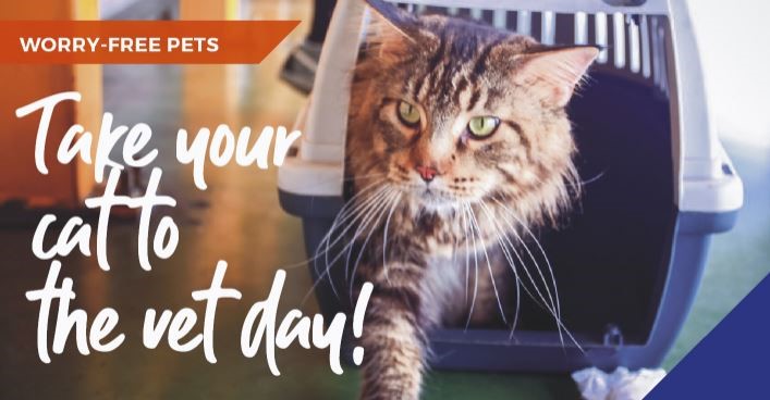 Take your cat to the vet day banner