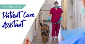 Patient care assistant banner