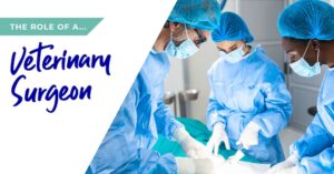 Role of veterinary surgeon banner