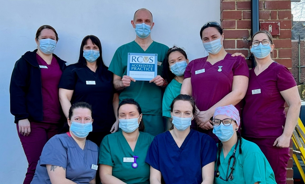 Peak Vets has been awarded hospital status by the Royal College of Veterinary Surgeons (RCVS)