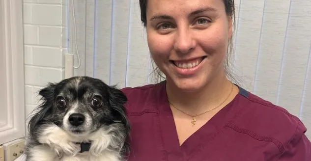 Peak Vets has been accredited as a Dog Friendly Clinic!