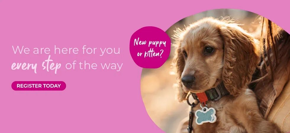 Vets in Sheffield | Vets Near Me | Peak Vets