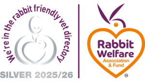 rabbit friendly vet