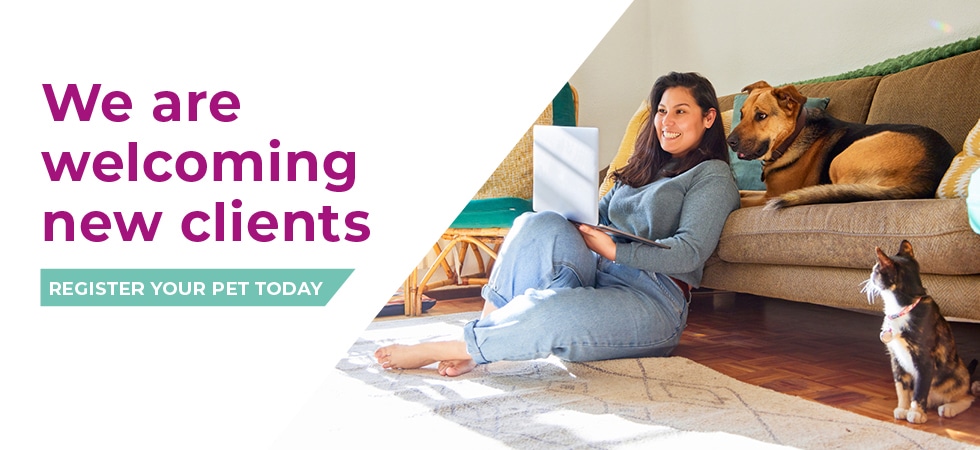 Vets in Sheffield | Vets Near Me | Peak Vets